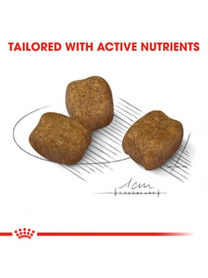 CCN MINI DENTAL CARE 3KG_web3